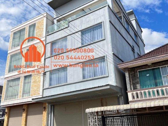 1 Your Gateway to Properties in Laos