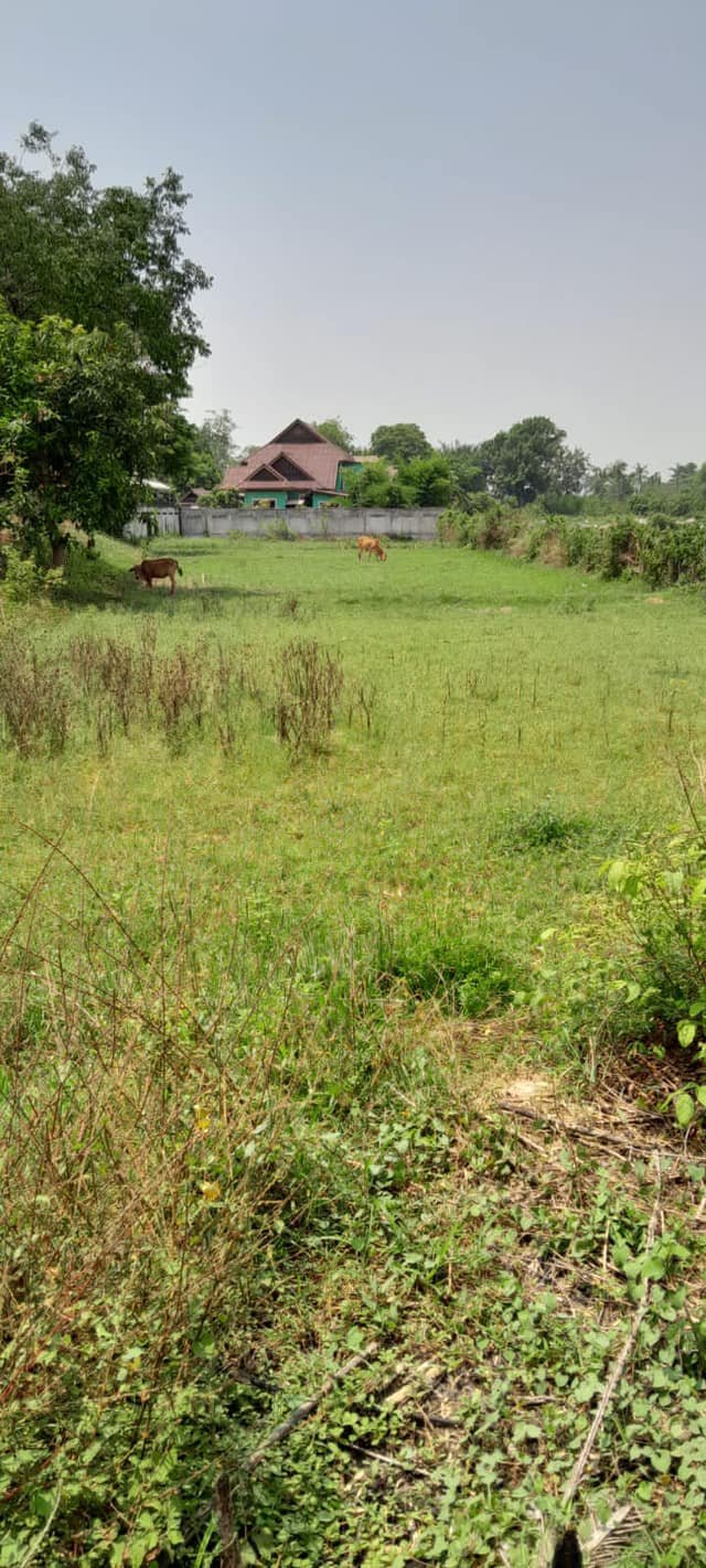 The exceptional opportunity awaits with this nice piece of land for sale.